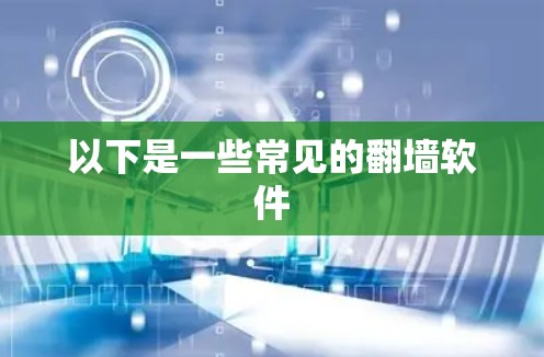 以下是一些常见的翻墙软件 以下是一些常见的翻墙软件