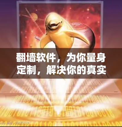 翻墙软件，为你量身定制，解决你的真实需求