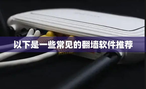 以下是一些常见的翻墙软件推荐