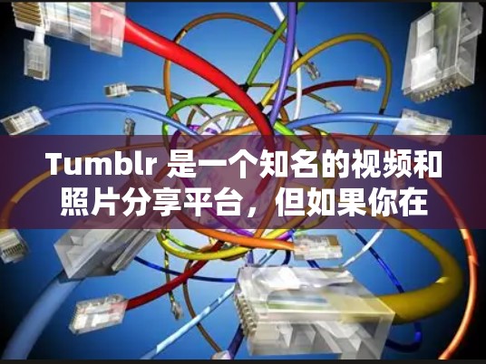 Tumblr 是一个知名的视频和照片分享平台，但如果你在上传视频或图片时遇到了格式或审核问题，下面是一些建议和解决方法