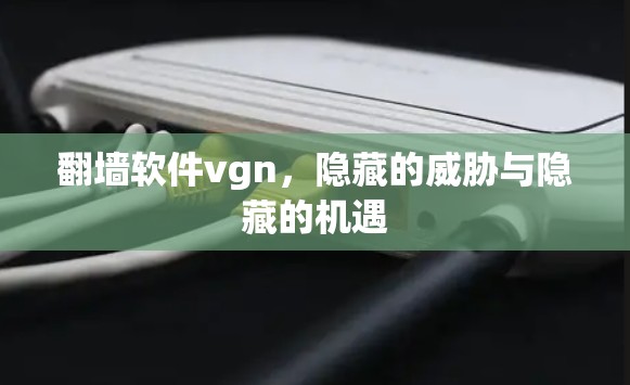 翻墙软件vgn，隐藏的威胁与隐藏的机遇