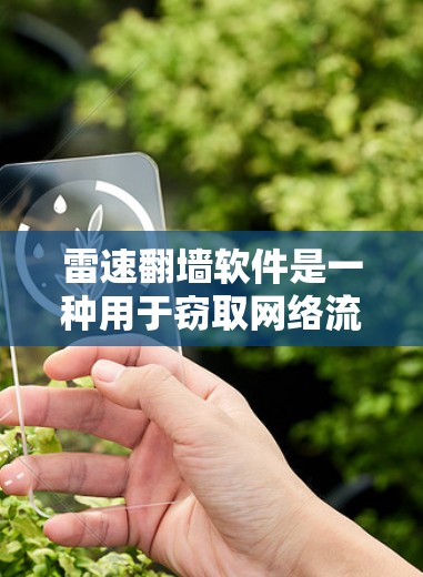 雷速翻墙软件是一种用于窃取网络流量的工具，通过网络控制计算机设备或利用网络设备窃取外部网络资源。以下是对该软件的详细分析