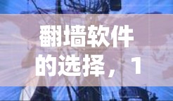 翻墙软件的选择，1种实用推荐，助力顺畅上网