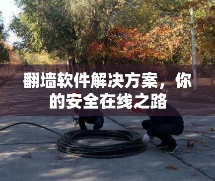 翻墙软件解决方案，你的安全在线之路