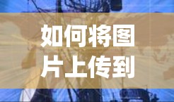 如何将图片上传到 Instagram 的服务器（免费工具）