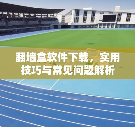 翻墙盒软件下载，实用技巧与常见问题解析