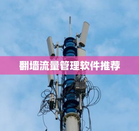 翻墙流量管理软件推荐