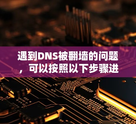遇到DNS被翻墙的问题，可以按照以下步骤进行处理