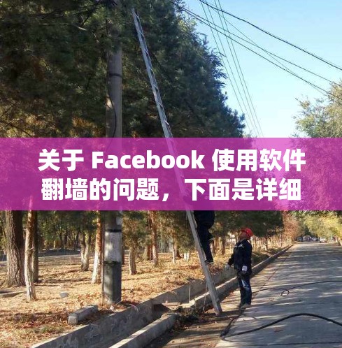 关于 Facebook 使用软件翻墙的问题，下面是详细的总结