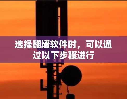 选择翻墙软件时，可以通过以下步骤进行