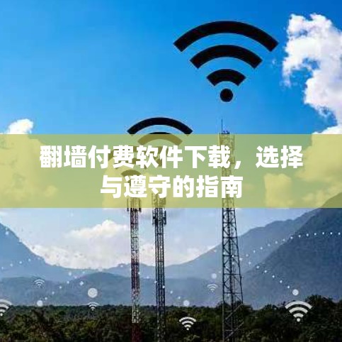 翻墙付费软件下载，选择与遵守的指南