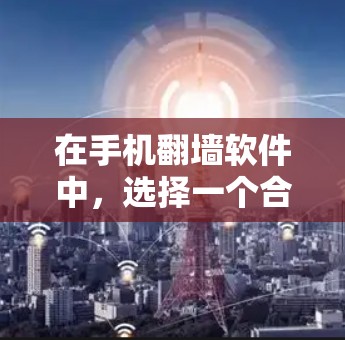 在手机翻墙软件中，选择一个合适的软件需要考虑价格、功能覆盖范围、适用场景以及用户评价等因素。以下是对几个推荐软件的详细分析