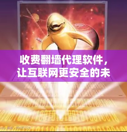 收费翻墙代理软件，让互联网更安全的未来解决方案