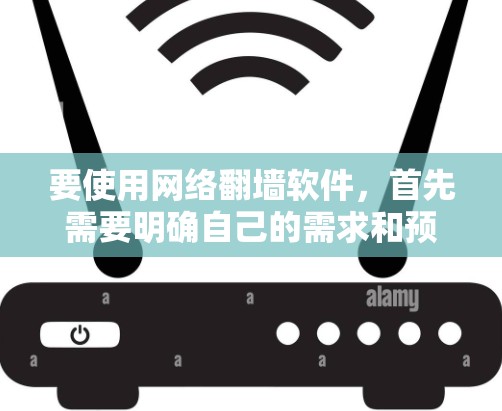 要使用网络翻墙软件，首先需要明确自己的需求和预算。以下是详细的步骤指南