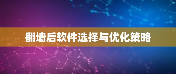 翻墙后软件选择与优化策略
