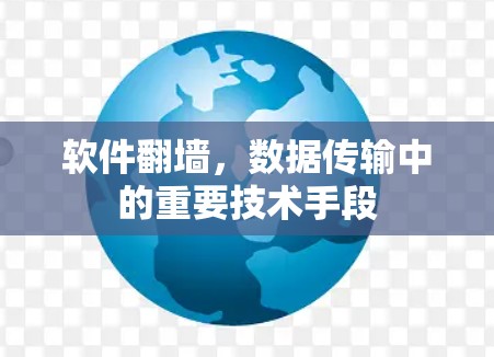 软件翻墙，数据传输中的重要技术手段