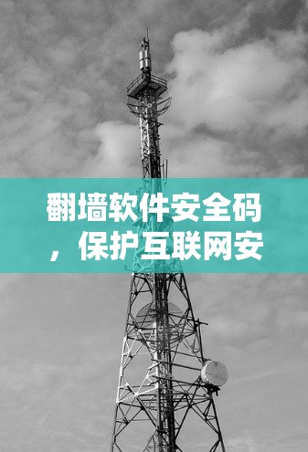 翻墙软件安全码，保护互联网安全的关键