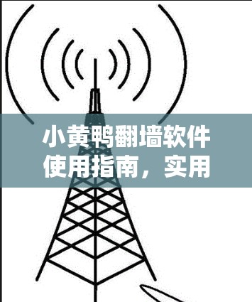 小黄鸭翻墙软件使用指南，实用技巧与注意事项