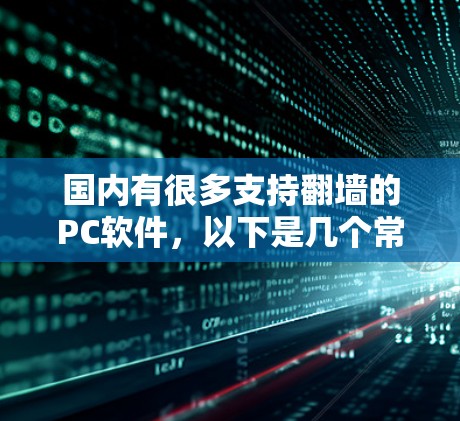 国内有很多支持翻墙的PC软件，以下是几个常见的选项