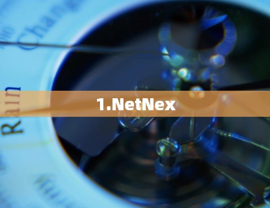 1.NetNex