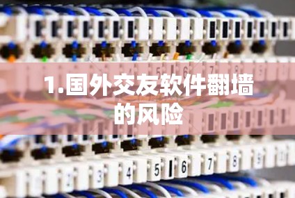1.国外交友软件翻墙的风险