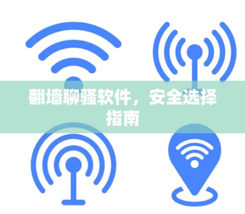 翻墙聊骚软件，安全选择指南