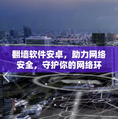翻墙软件安卓，助力网络安全，守护你的网络环境