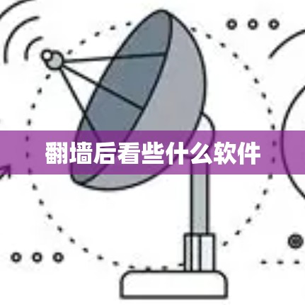 翻墙后看些什么软件