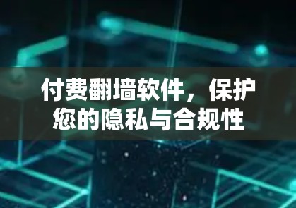 付费翻墙软件，保护您的隐私与合规性
