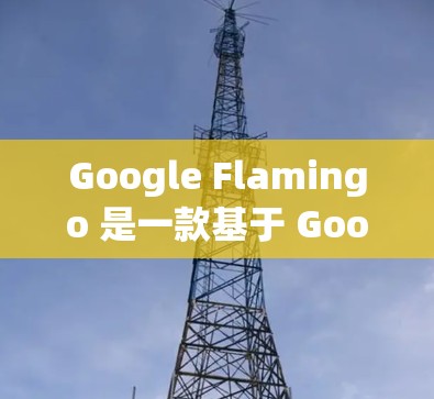 Google Flamingo 是一款基于 Google 的翻墙软件，旨在为手机提供不受网络限制的访问功能。以下是对其进行全面的介绍和考虑