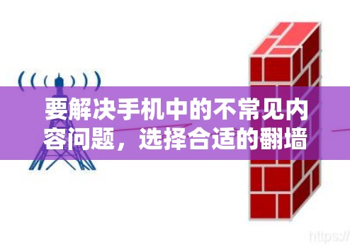 要解决手机中的不常见内容问题，选择合适的翻墙软件至关重要。以下是基于需求和安全性考虑的建议