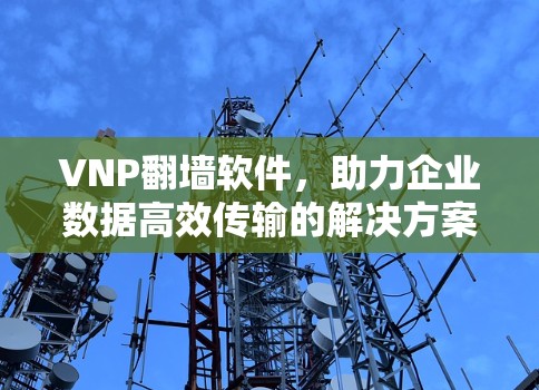 VNP翻墙软件，助力企业数据高效传输的解决方案