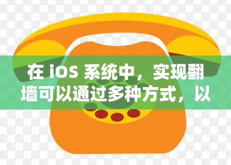 在 iOS 系统中，实现翻墙可以通过多种方式，以下是一些常见的软件工具及其功能