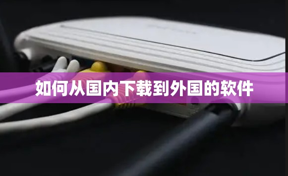 如何从国内下载到外国的软件