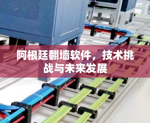 阿根廷翻墙软件，技术挑战与未来发展