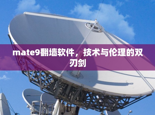 mate9翻墙软件，技术与伦理的双刃剑