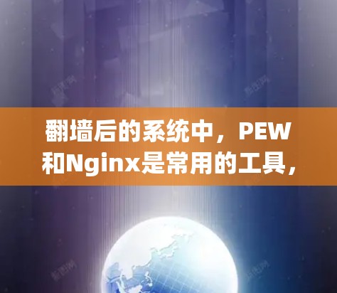 翻墙后的系统中，PEW和Nginx是常用的工具，用于管理访问权限和防火墙配置。以下是对这两个工具的详细说明