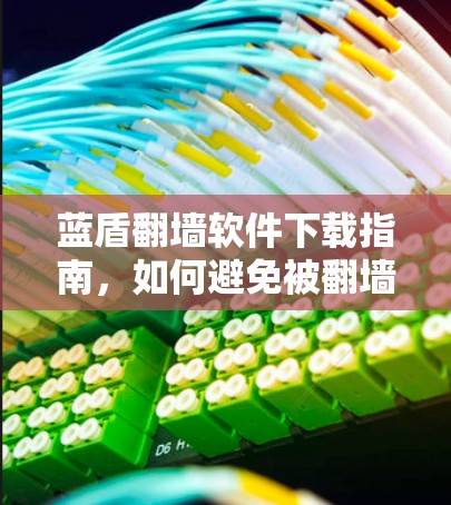 蓝盾翻墙软件下载指南，如何避免被翻墙？