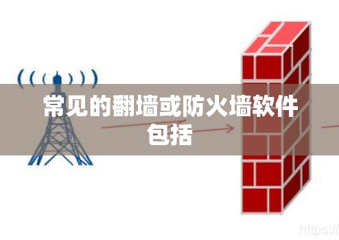 常见的翻墙或防火墙软件包括