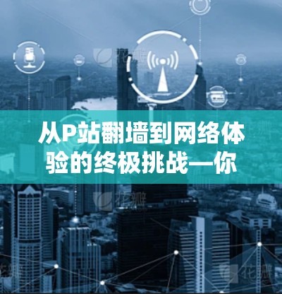 从P站翻墙到网络体验的终极挑战—你的解决方案
