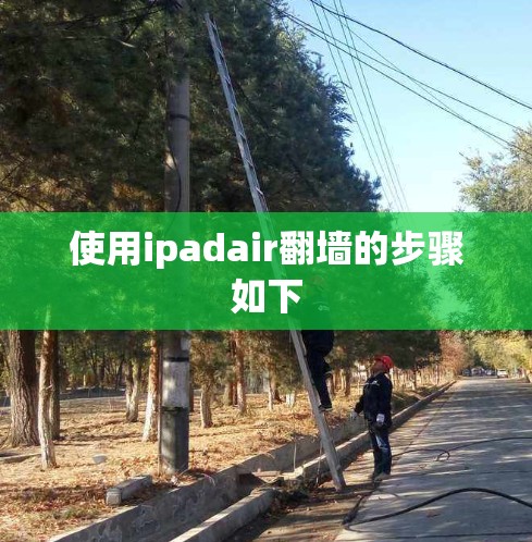 使用ipadair翻墙的步骤如下