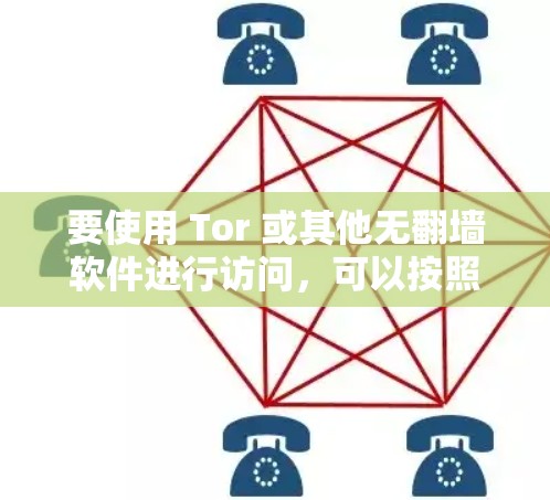 要使用 Tor 或其他无翻墙软件进行访问，可以按照以下步骤进行操作