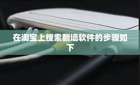 在淘宝上搜索翻墙软件的步骤如下
