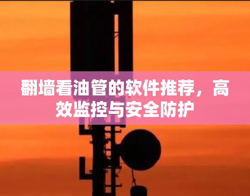翻墙看油管的软件推荐，高效监控与安全防护