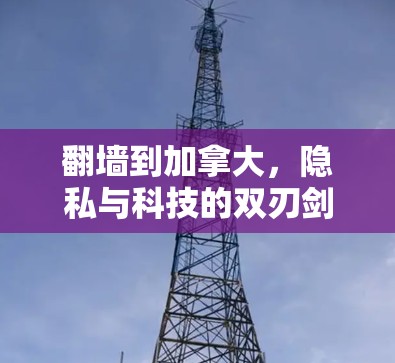 翻墙到加拿大，隐私与科技的双刃剑