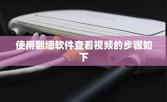 使用翻墙软件查看视频的步骤如下