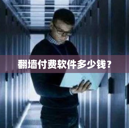 翻墙付费软件多少钱？
