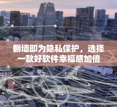 翻墙即为隐私保护，选择一款好软件幸福感加倍