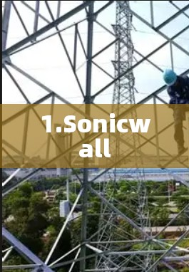 1.Sonicwall