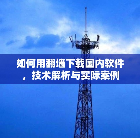 如何用翻墙下载国内软件，技术解析与实际案例